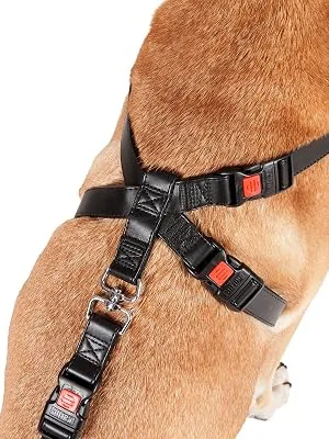 Karlie car safety harness M 40-60 cm M 40-60 cm - sdfdsf