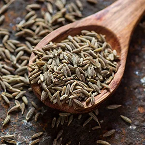 Frontier Co-op Organic Cumin Seed Ground 5.61 oz (159 g) - ORGANIC FROM TURKEY/INDIA