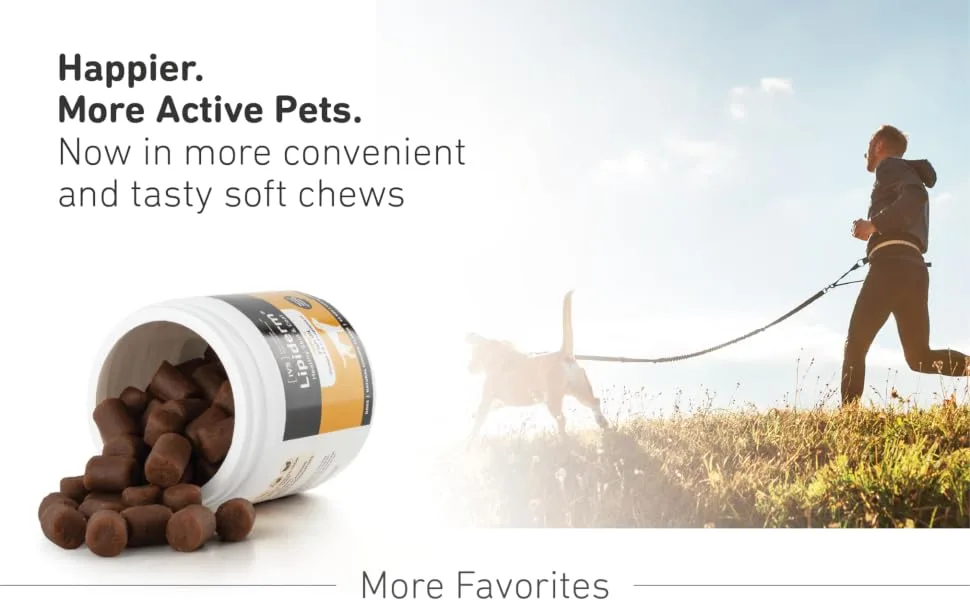 International Veterinary Sciences Lipiderm Healthy Skin & Coat Dogs Natural Chicken 90 Soft Chews - B08S9TQSFP_8