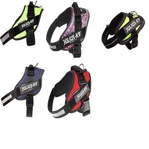IDC Powerharness Size: XS/Mini-Mini Ameri-Canis Ameri-Canis XS/Mini-Mini - product information 1