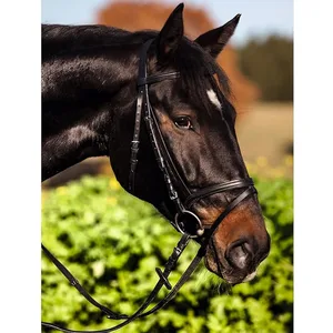 Kerbl 321743 Bridle Standard Leather for Thoroughbred brown Brown Thoroughbred - product information 2