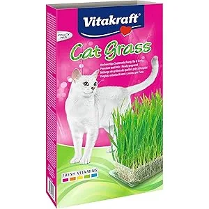 Vitakraft Cat Grass fresh cat grass ready grown cat grass with vitamins and minerals (1x 120g) - product information 1