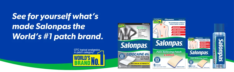 Salonpas Pain Relieving Patch 60 Patches - salonpas