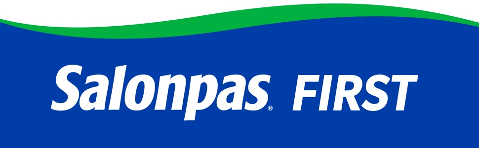 Salonpas Pain Relieving Patch 60 Patches - salonpas first