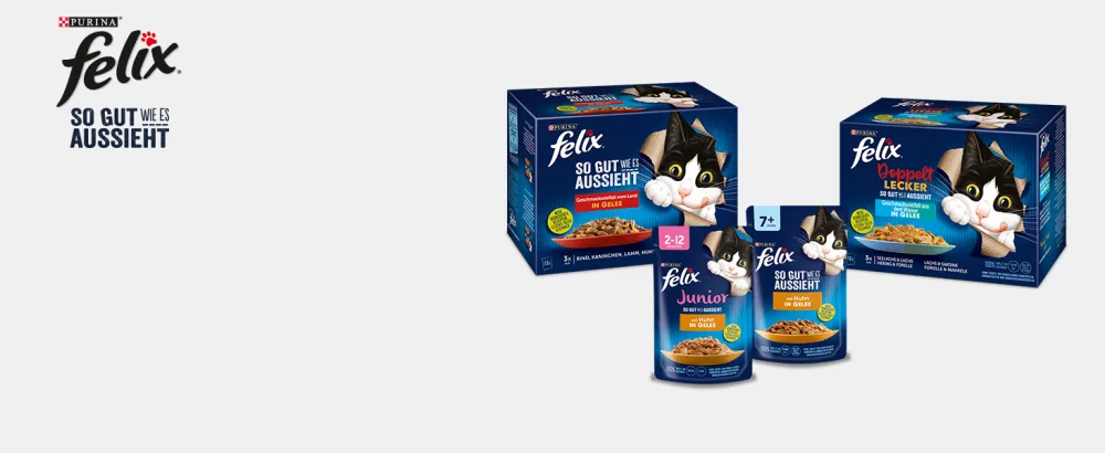 FELIX Nibble Mix Original & Beach Fun cat snack with different varieties Mixtray 2x(8x60g) - FELIX Katzenfutter nass