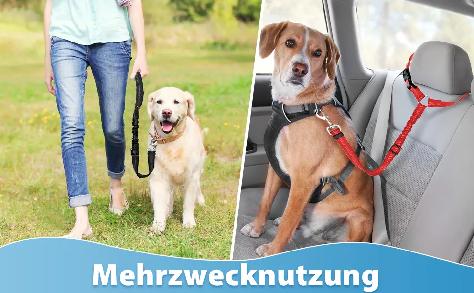 Adjustable string belt dog car headrest safety crockery dog dog seat belt dogs clasp strap with elastic for small dogs medium-sized puppy red (red) - Anschnallgurt Hund Auto