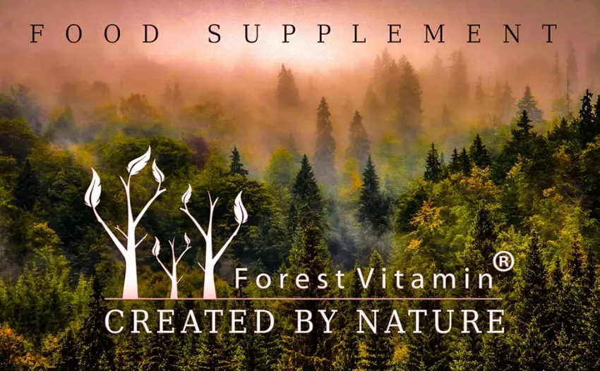 Forest Vitamin - Lecithin 1200-100 capsules - soy lecithin - memory & concentration - product information 1