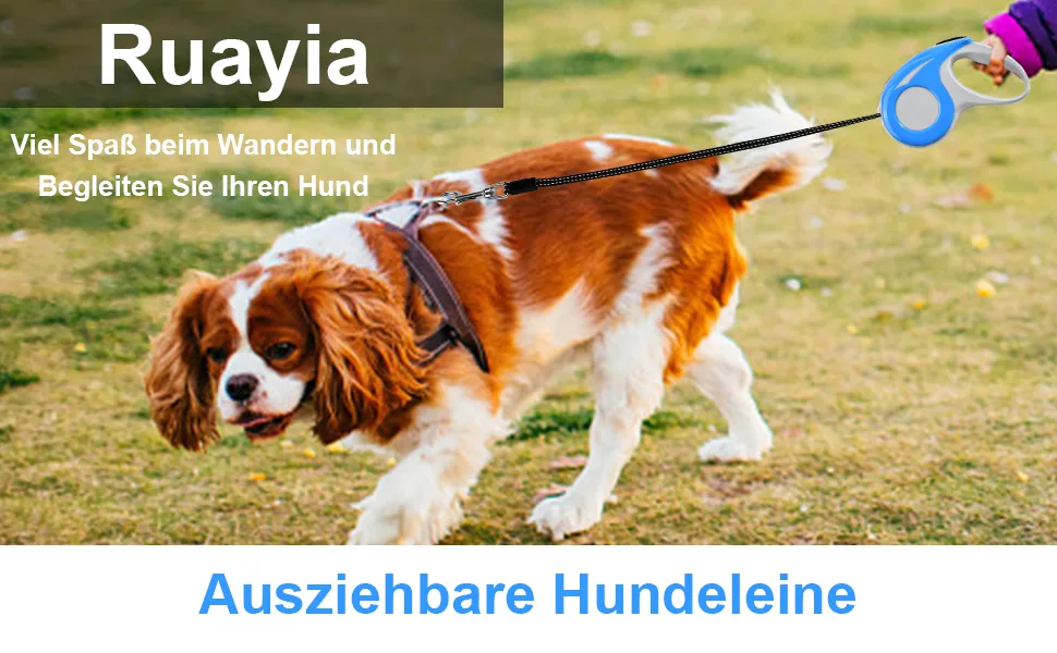 Ruayia New classic pull -out leash for dogs up to 52 kg - ultra -high belt - 360 guide and braking system - 3 m - blue 3M blue - rollleine