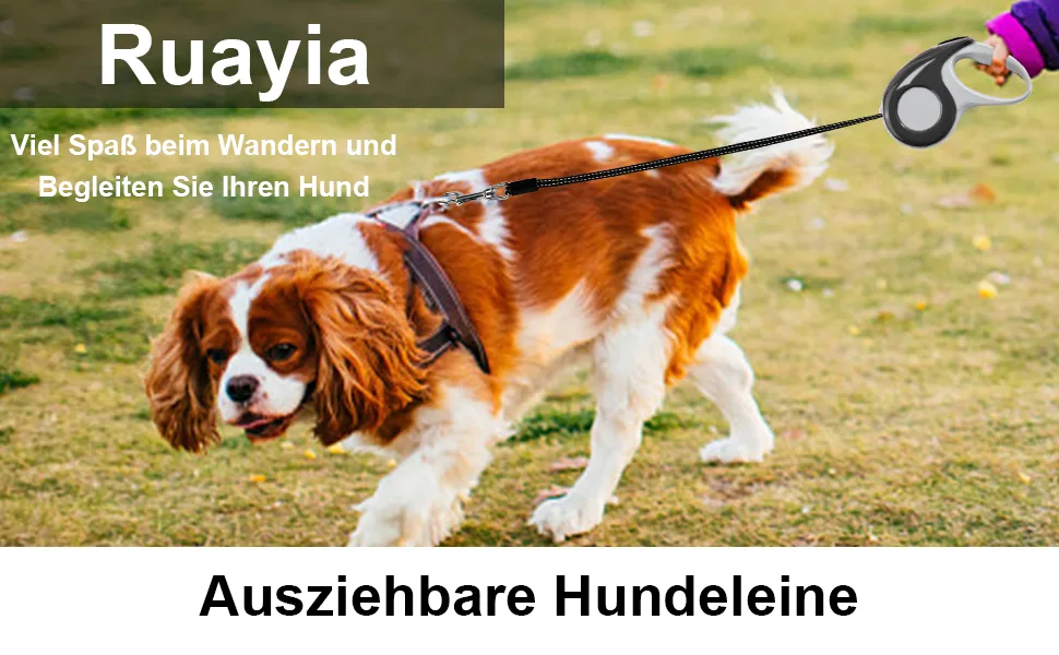 Ruayia New classic pull -out leash for dogs up to 52 kg - ultra -high belt - 360 guide and braking system - 5 m - black 5m black - rollleine