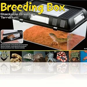 Exo Terra Breeding Box incubator stackable breeding terrarium S 20.5 x 20.5 x 15cm - exo terra