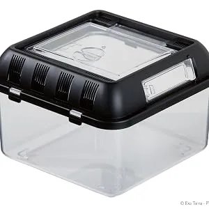 Exo Terra Breeding Box incubator stackable breeding terrarium S 20.5 x 20.5 x 15cm - exo terra