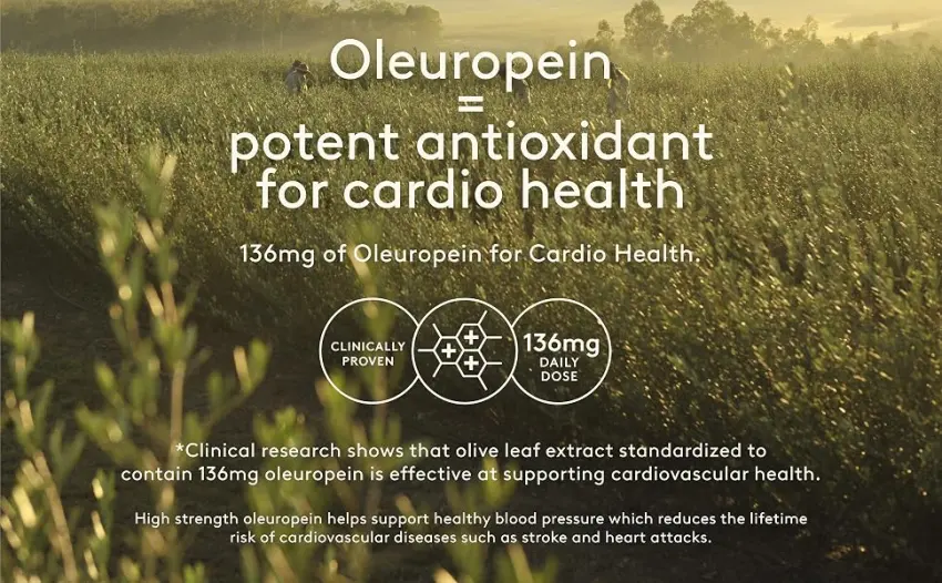 Comvita Olive Leaf Extract 16.9 fl oz ( 500 ml) - Oleuropein is a potent antioxidant for cardio health.