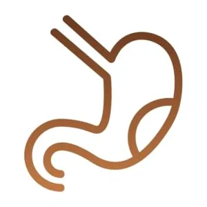 Zhou Nutrition Plant Complete Optimal Absorption Vegan Protein Chocolate 19.9 oz (563.2 g) - Fermentation Process