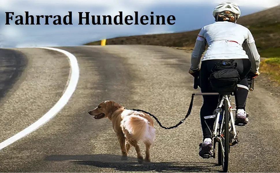 Hands freely bicycle dogs retractable dog leash exercise line tensile force leash with shock spring for training outdoors - easy installation and disassembly safe free control - product information 1