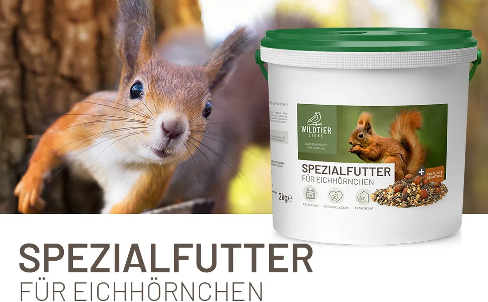 Wildlife dear squirrel feed 2 kg for squirrels and stripe horns i year-round feed squirrel i squirrel stripe horns of food - wildtier liebe - Eichhörnchen