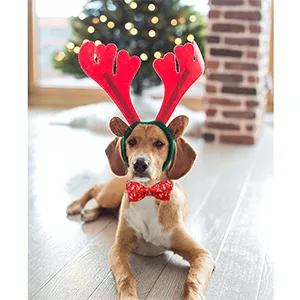 Lionheart Glory Christmas Dog Hall Band red dog-loop collapse adjustable soft loop neck straps for small dogs girl or boys' collar. - product information 2
