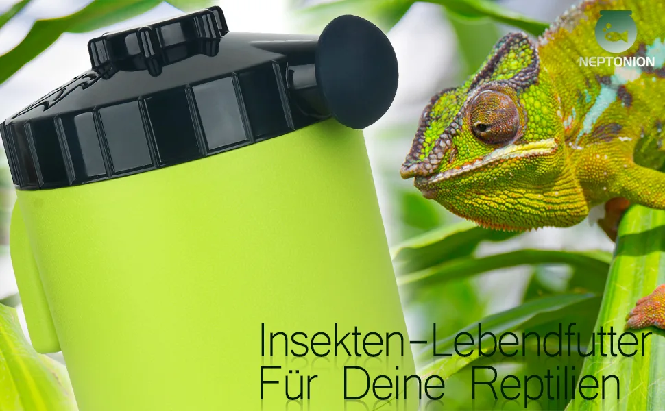 Neptonion Cricket Keeper Professional Dubias Keeper Futter insect organizer and donor with bug dirt management Solid feed support dubia colony for people with insect phobia - Cricket Keeper