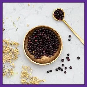 New Chapter Elderberry Force 30 Vegan Capsules - lderberry, elderberry syrup, elderberry capsule, elderberry syrup kids, black elderberry