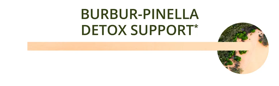 NutraMedix Burbur-Pinella 2 fl oz (60 ml) - banner