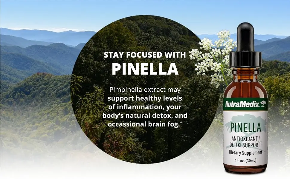 NutraMedix Pinella Antioxidant Detox Support 1 fl oz (30 ml) - pinella