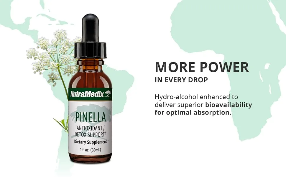NutraMedix Pinella Antioxidant Detox Support 1 fl oz (30 ml) - pinella