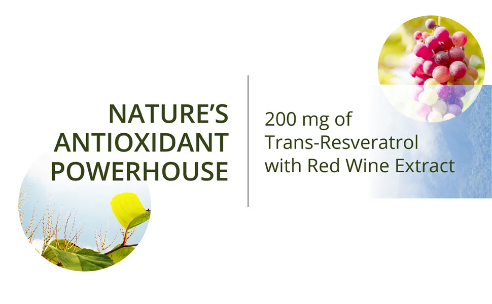 NutraMedix Resveratrol with Red Wine Extract 60 Vegetable Capsules - resveratrol