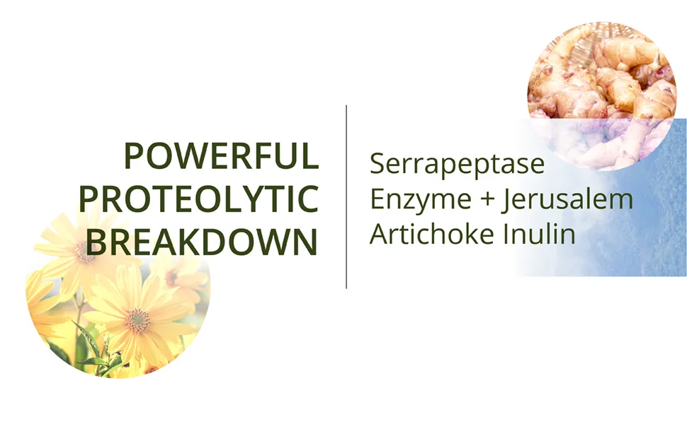 NutraMedix Serrapeptase with Inulin 120 Vegetable Capsules - intro