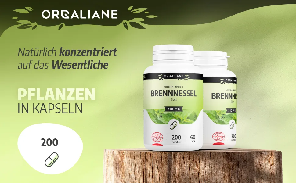 Organic Nettle Leaf - 210 mg - 200 capsules - Brennnessel 1
