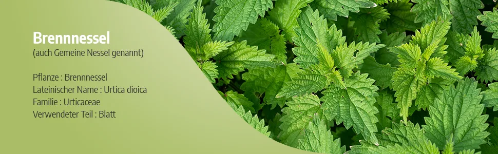 Organic Nettle Leaf - 210 mg - 200 capsules - Brennnessel 2