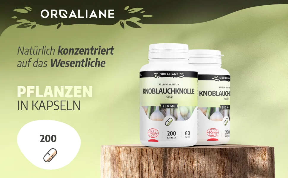 Organic Garlic Bulb - 280 mg - 200 Capsules - Knoblauchknolle 1