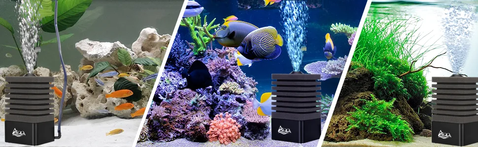 AQQA aquarium sponge filter quiet aquarium filter for biological and mechanical filtering air lifter aquarium internal filter with filter material A medium (for 30-250l) - product information 6