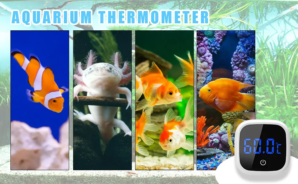 Aquarium thermometer mini aquarium thermometer digital LED display high-precision temperature sensor suitable for freshwater sea acquarius - product information 6