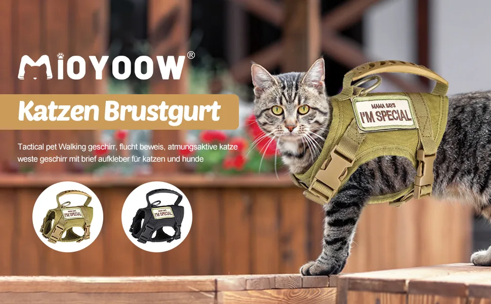Cat dishes leash tactical pet walking dishes. - product information 1