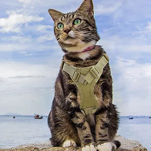 Cat dishes leash tactical pet walking dishes. - product information 5