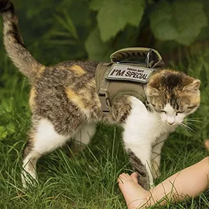Cat dishes leash tactical pet. - product information 7