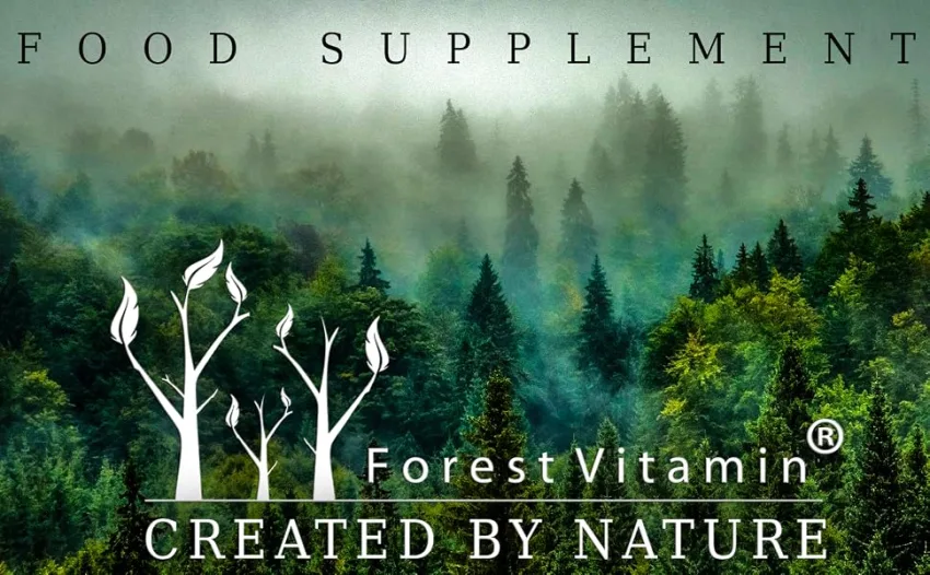 LYCOPIN - Forest Vitamin - Lycopene 20mg - 60 veggie capsules - Antioxidant - Supply for approx. 2 months - Health & Beauty - product information 1