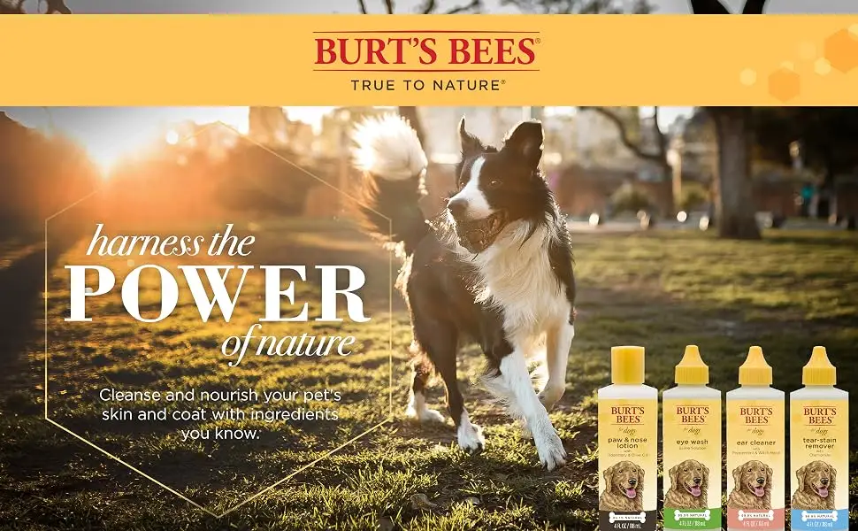 Burt's Bees Eye Wash for Dogs 4 fl oz (118 ml) - Burt