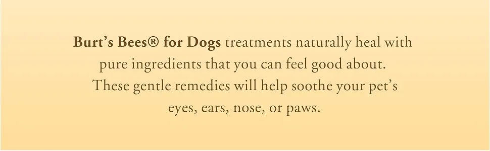 Burt's Bees Eye Wash for Dogs 4 fl oz (118 ml) - Burt