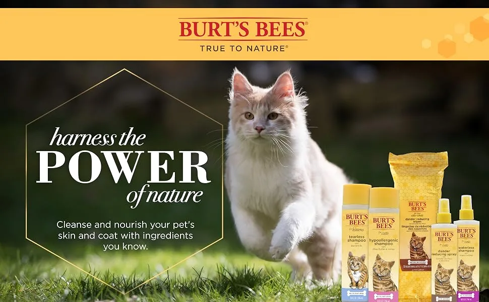 Burt's Bees Tearless Shampoo for Kittens with Buttermilk 10 fl oz (296 ml) - Burts Bees Cat Burt