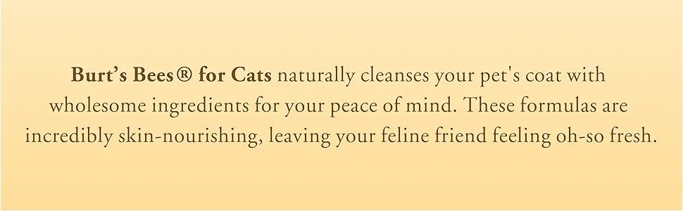 Burt's Bees Tearless Shampoo for Kittens with Buttermilk 10 fl oz (296 ml) - Burts for cats Burt