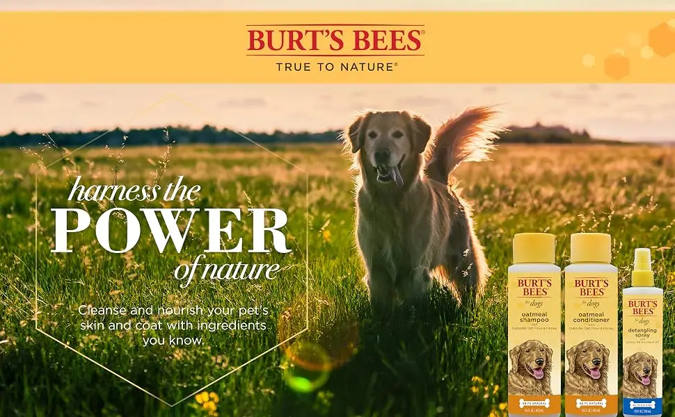 Burt's Bees Deodorizing Shampoo for Dogs with Apple & Rosemary 16 fl oz (473 ml) - Burt