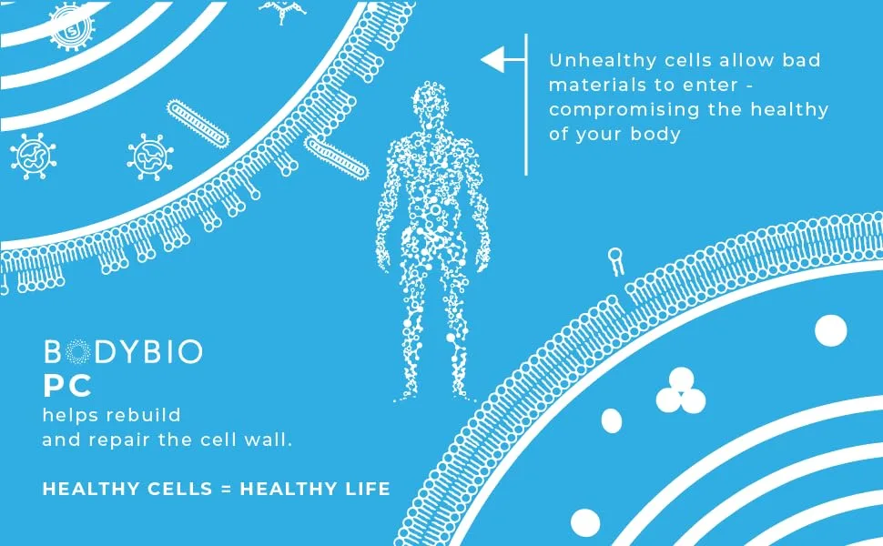 BodyBio PC Liposomal Phospholipid Complex 4 fl oz - phosphatidylcholine phosphatidyl choline pc rebuild repair cell wall healthy cells healthy life