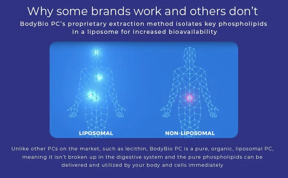BodyBio PC Liposomal Phospholipid Complex 4 fl oz - phospholipids liposomes liposomal increased bioavailability pure organic increased absorption