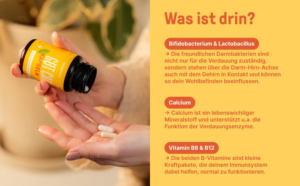 Braineffect Gut Care - 20 billion intestinal bacteria intestinal support with digestive bifidobacterial cultures stimulate digestion - 60 intestinal bacteria capsules highly dosed - product information 3