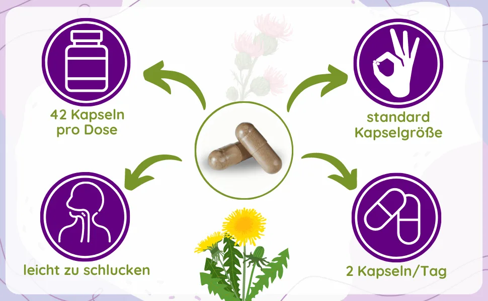 LOODUS Leberkur capsules - 13 times complex with daria thistle artichoke dandelion & choline for normal liver function - liver capsules highly dose & vegan - liver complex in practical sampling size 42 - Leber Kapseln Testsieger mit Mariendistel Kapseln und Löwenzahn Desmodium Zink Cholin und Vitaminen