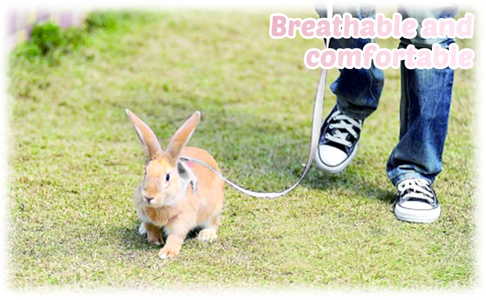 Kapsing rabbits leash adjustable rabbits accessories rabbits accessories with elastic leash cat leash with dishes for small animals. - NS-TZQYS-23-03