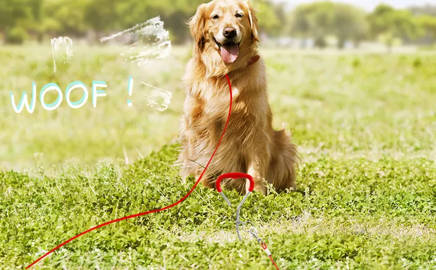 Snagle paw bubble with a leash bubble sticks for camping dog dog stake with cable tie 3m dog chain for camping dog training linen. - product information 8