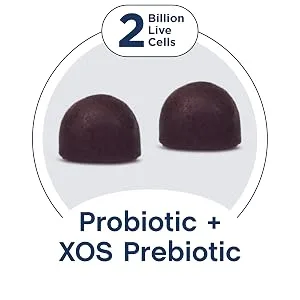 Jarrow Formulas Probiotic + Prebiotic Blackberry 60 Gummies - Probiotic and XOS Prebiotic