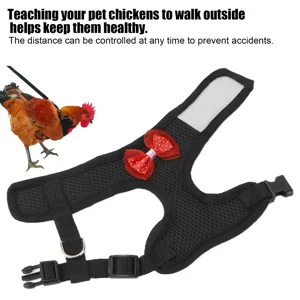 Chicken dishes and leash adjustable chicken cable rope outside-the-way dishes with leash for poultry hen chicken duck s number-black linen - product information 3