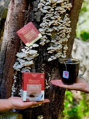 Teeccino Mushroom Herbal Tea Turkey Tail Astragalus Caffeine Free 10 Tea Bags 2.12 oz (60 g) - teeccino turkey tail astragalus